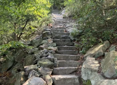 The Climate Resilience of the Financial Sector