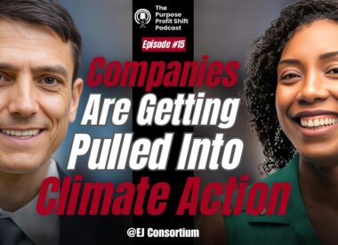 Purpose Profit Shift